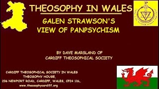 Galen Strawsons View of Panpsychism by Dave Marsland [upl. by Bobbee519]