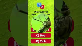 what are the most dangerous bugs in the world [upl. by Prissie]