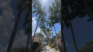 Take a tour of Fairmont Royal Pavilion a luxury resort in Barbados caribbean luxurytravel [upl. by Nealson]