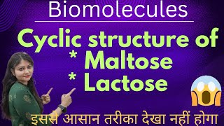 Cyclic Structure Of Maltose And Lactose  Biomolecules  Class 12 😱😱🔥🔥 [upl. by Odine831]