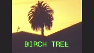 FOALS  Birch Tree Official Lyric Video [upl. by Awram816]