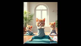 Cat Yoga Time Soft Moments for Kittens cat yogababy catsoft moment [upl. by Leile]