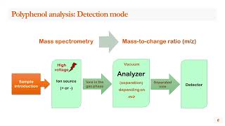 Unraveling the structural diversity of polyphenols using liquid chromatography mass spectrometry LC [upl. by Morris191]