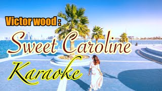 Sweet Carolinebest ofVictor Woodkaraoke channel [upl. by Suinuj]