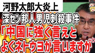 （ゆっくり）悲報 河野太郎氏大炎上 深センの邦人男児刺殺事件「外で見えるように強く言えとネトウヨが…必ずしもそれがいいとは」 [upl. by Hamil]