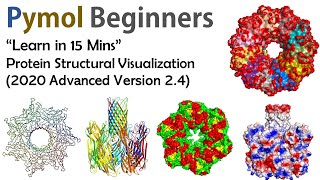 Pymol for beginners  Basic Tutorial Molecular Visualization of Proteins  Bioinformatics [upl. by Otilia242]