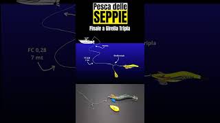 PESCA DELLE SEPPIE pescasportiva tutorialpesca pescadallabarca calamari [upl. by Sweyn]