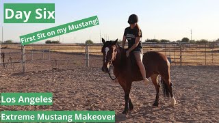 First Sit on a Wild Mustang on Day Six  Los Angeles Extreme Mustang Makeover [upl. by Darraj]