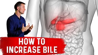 Bile acids  Primary and secondary bile acids [upl. by Adniralc]