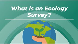 What is an Ecology Survey A Guide for the UK Planning and Development [upl. by Estrin696]