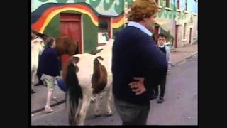 WESTPORT HORSE FAIR Westport County Mayo Ireland 80s  90s [upl. by Aydin]