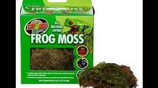 ZooMed Frog Moss Review [upl. by Rabkin]