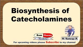 Biosynthesis of Catecholamines Synthesis of Dopamine Noradrenaline amp Adrenaline Pharmacology [upl. by Latnahc]