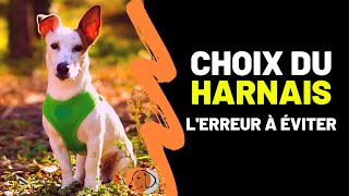 Les meilleurs harnais pour chien 5 critères  MON GUIDE PRATIQUE [upl. by Reggie]