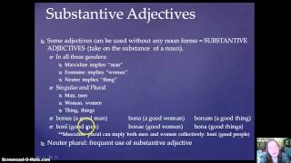 Ch 10 Substantive Adjective [upl. by Natsuj863]