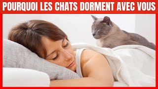 Pourquoi votre Chat dortil avec vous  6 raisons que vous allez ADORER [upl. by Gardiner]