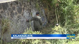 Suspicious object at Kalakaua Avenue homeless encampment not a threat officials say [upl. by Eiuqcaj685]