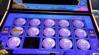 LIVE PLAY FLRPPD Episode 29 pokie slots wins [upl. by Halet]