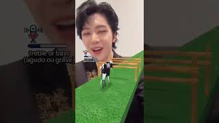 ПАХХАХcat straykids skz ateez тхт kpop [upl. by Ahsaercal]