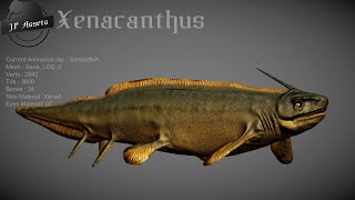 Xenacanthus [upl. by Naahs]