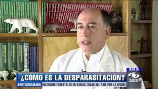 ¿Cómo se realizara una correcta desparasitación  9 de enero de 2013 [upl. by Ziegler]