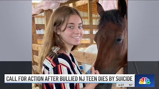 Bullied Teen Takes Own Life 2 Days After Students Took Video of Assault at NJ School  NBC New York [upl. by Brandie]