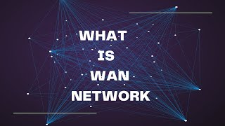 What is Wan Network [upl. by Cilla246]