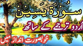 Surah Yaseen Full WithHindiUrdu TranslationSurah Yaseen Recited By Qari Abdul BasitSurahYASIN562 [upl. by Mehala]