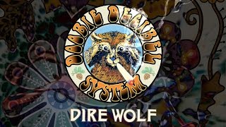 Doobie Decibel Sytem  quotDire Wolfquot Grateful Dead Cover Official Video [upl. by Albertina]