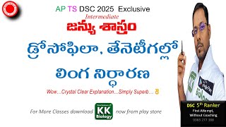 🔴AP amp TS DSC 2025జన్యు శాస్త్రం 🪰డ్రోసోఫిలా  🐝తేనెటీగల్లో లింగ నిర్ధారణ  బార్ దేహాలు [upl. by Etat13]