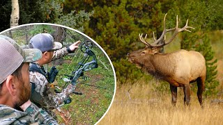 ELK HUNTING wFamily and Friends  Public Land [upl. by Rolecnahc]