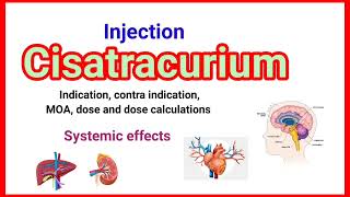 Inj Cisatracurium detail presentation anaesthesiawithbabar2576 [upl. by Etteoj576]