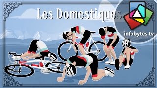 The Tour De France Explained in Animation [upl. by Nylidnarb]