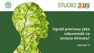 STUDIO ZIELEŃ TO ŻYCIE odc10 Ogród preriowy jako odpowiedź na zmiany klimatu [upl. by Nottage]