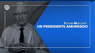 Comentario de Tomás Mosciatti Un presidente amurrado [upl. by Hesoj]