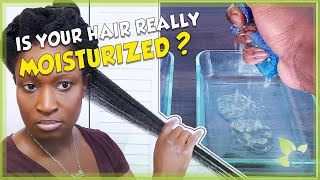 What it REALLY means to MOISTURIZE your hair [upl. by Mukerji]