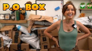 Biggest PO Box Opening EVER [upl. by Asital]