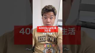 4000kcal生活3日目！〜食欲が止まらない！〜飯テロ 筋トレ 増量期 [upl. by Anovahs]