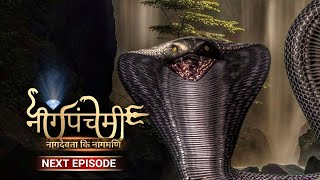 Naagpanchami  Next Episode  NEW PROMO  Nagin  Naagin Shorts video naagin naagpanchami shorts [upl. by Ainesy]