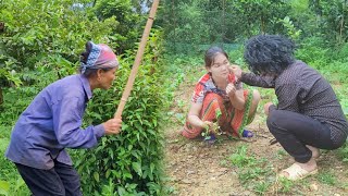 foolish man visits his single mother  Lý Thị Chí [upl. by Bathesda130]