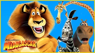 Los mejores extractos cortos de Madagascar 😍  Adelanto extendido  DreamWorks Madagascar [upl. by Cardew]