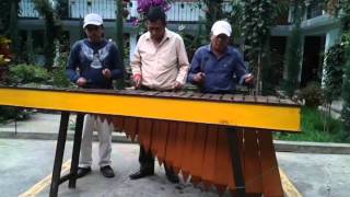 Marimbas de nenton  Quixal [upl. by Farman]