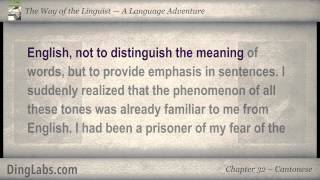 32 The Linguist by Steve Kaufmann  A Language Adventure  Cantonese [upl. by Okihcim]