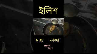 youtubeshorts food foodie bengali kolkata hilsa hilsafishprice hilsafishfry delicious [upl. by Gillespie]