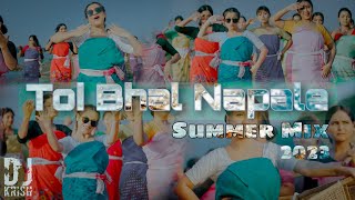 Toi Bhal Napale  Summer Mix  DJ Krish  Assamese New Dj Remix 2023 [upl. by Layor]