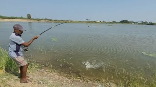 Best Six hooks Hand line fishing TechniqueSmall Rohu fishes Catching in Vallge deep pondfishing [upl. by Eiramlatsyrc939]