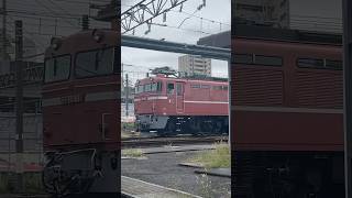 EF81 81 2024年9月 [upl. by Akel]