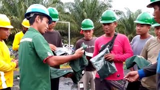 Pembagian Baju Kaos Oleh Mandor Satu Afdeling Bravo PT LTT kepada 10 Tenaga Pengangkong Mitra [upl. by Lakim]