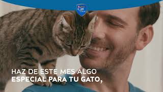 ¡Celebra el Mes del Gato con Purina® Cat Chow® Esterilizados [upl. by Birch366]