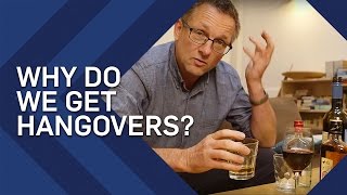 Why Do We Get Hangovers  Earth Science [upl. by Masry]